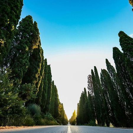 Relais Felciaino B&B Bolgheri Kültér fotó