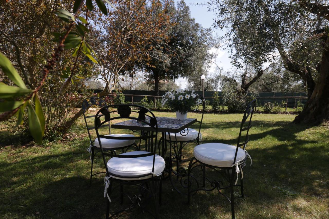 Relais Felciaino B&B Bolgheri Kültér fotó