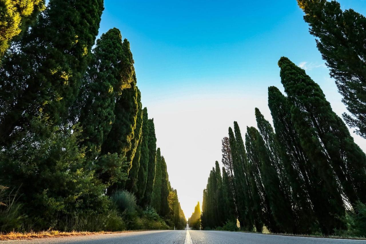 Relais Felciaino B&B Bolgheri Kültér fotó