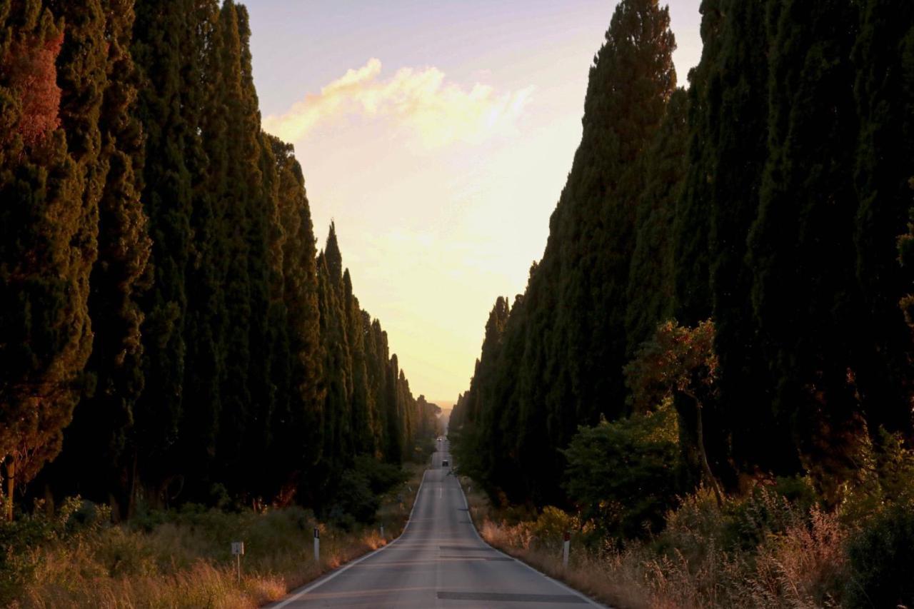 Relais Felciaino B&B Bolgheri Kültér fotó