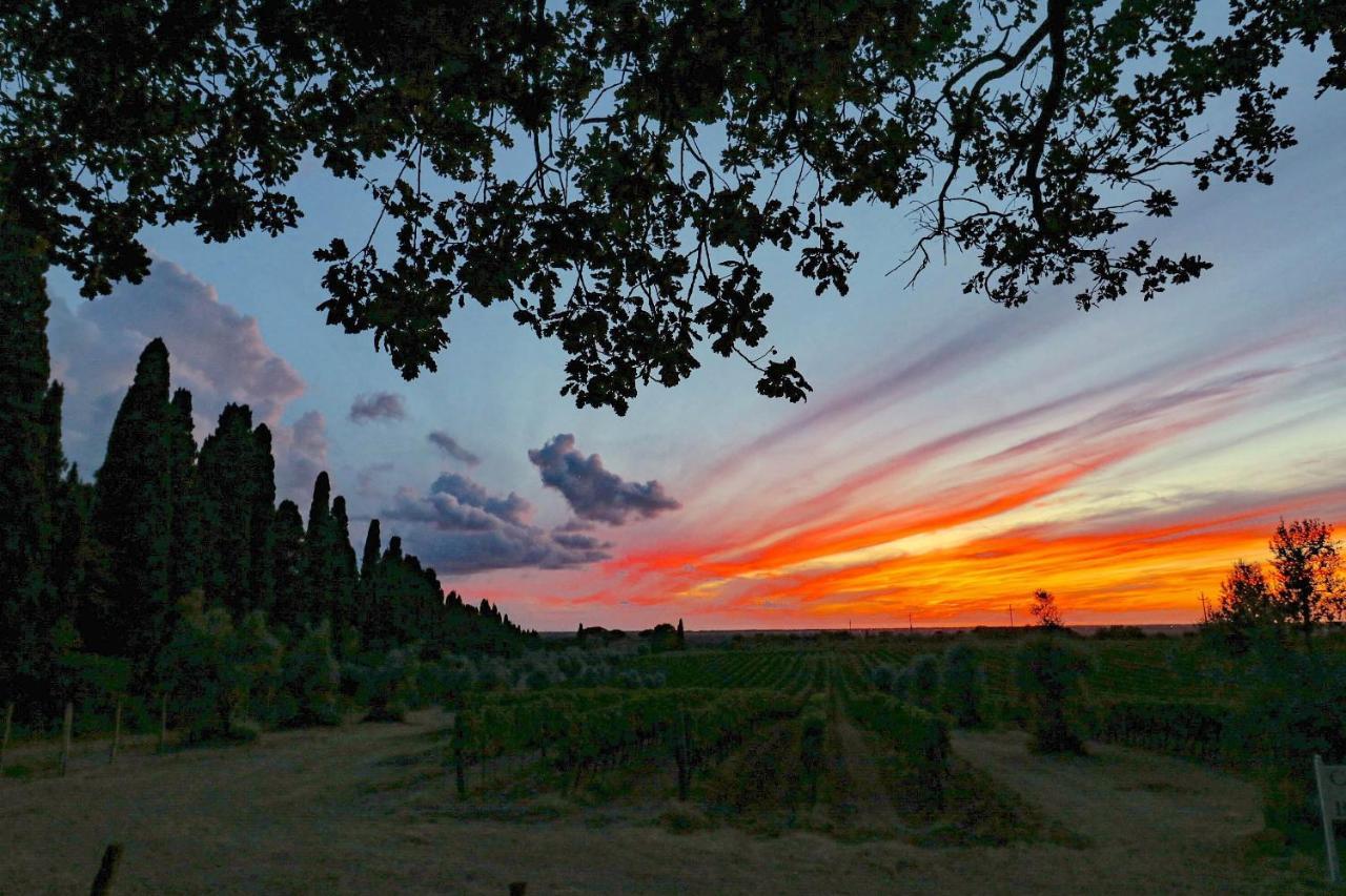 Relais Felciaino B&B Bolgheri Kültér fotó