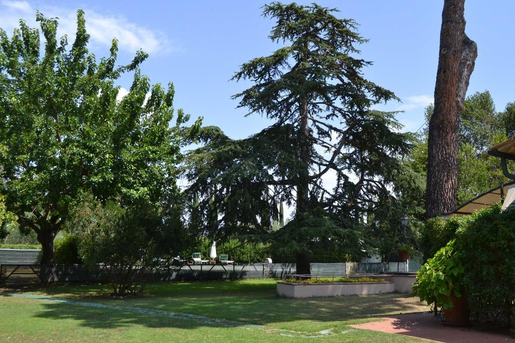 Relais Felciaino B&B Bolgheri Kültér fotó